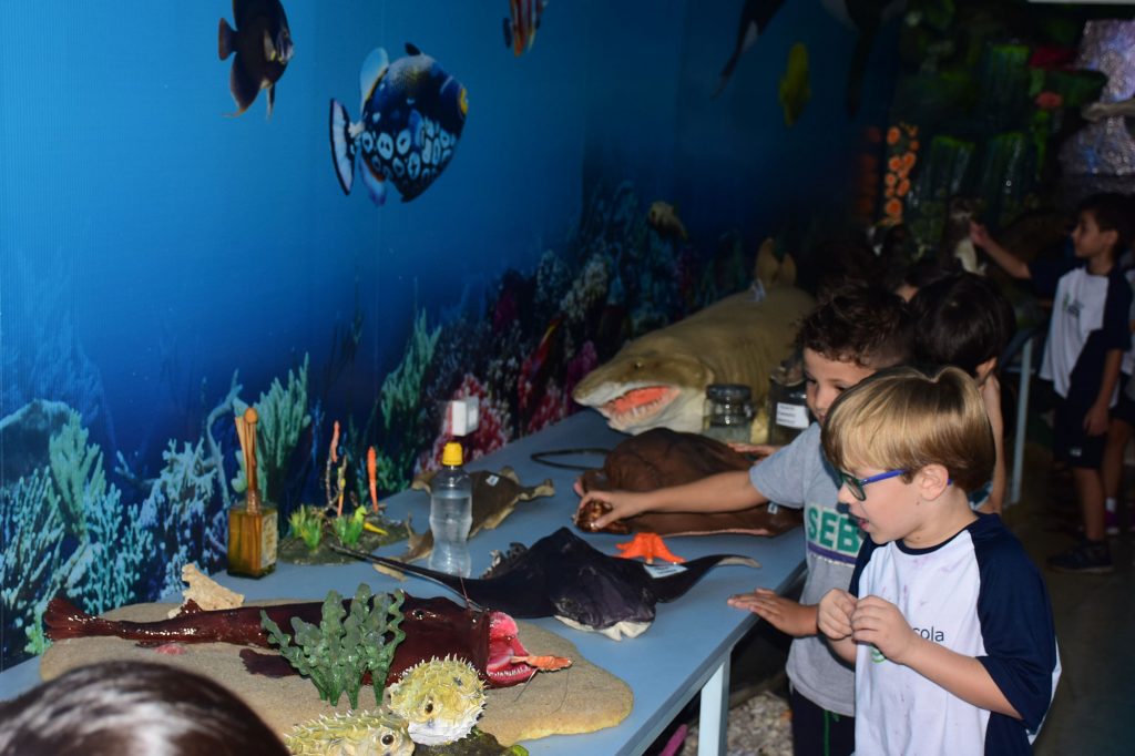 Alunos tem vivência com o mundo marinho em carreta expositora. – Folha da Região