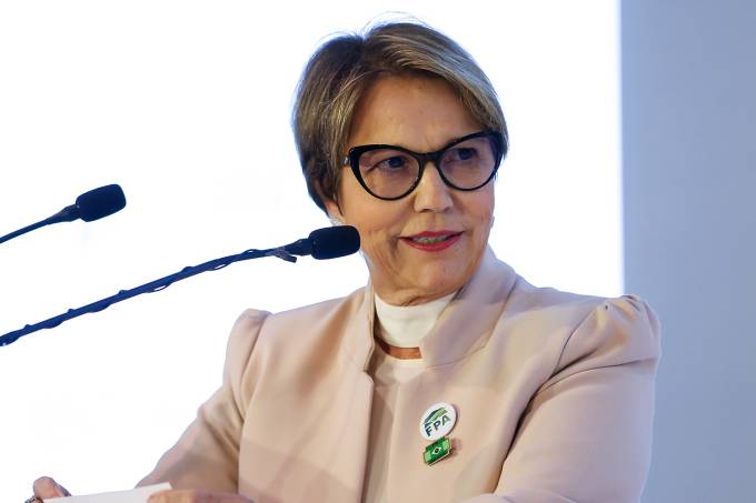 Importadores denunciam boiada passando no Ministério da Agricultura