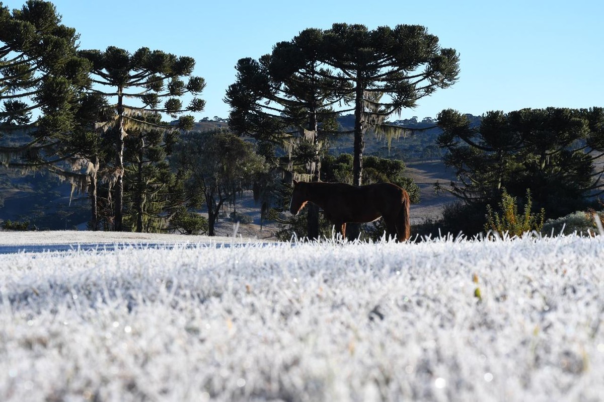 Inmet divulga alerta para perigo potencial de geada em 22 cidades do Sul de Minas