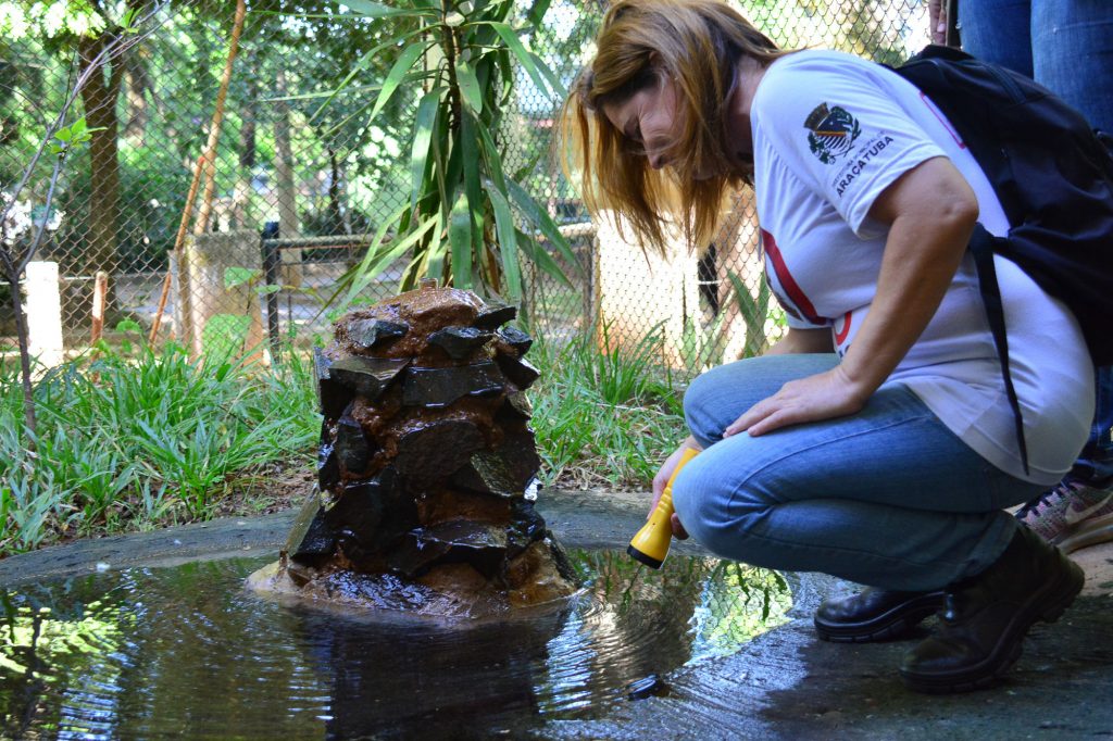 Zoológico de Araçatuba é revitalizado – Folha da Região