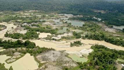 Estudo da Fiocruz em aldeias indígenas no Pará mostra contaminação alarmante por mercúrio