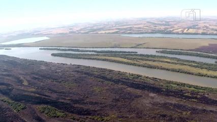 Incêndios de grandes proporções atingem Parque Nacional de Ilha Grande