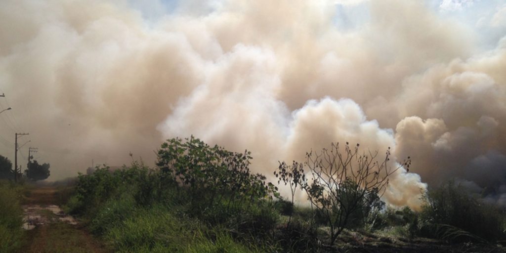 Bombeiros atendem mais de três ocorrências de fogo em vegetação por dia   Folha da Região