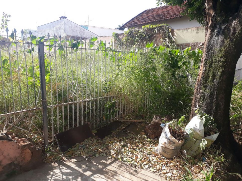 Terreno abandonado no Paraíso é alvo de reclamações de moradores   Folha da Região