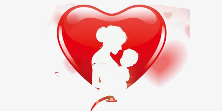 Carinho de mãe   Folha da Região