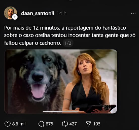 Por mais de 12 minutos O Fantástico só faltou culpa o Cachorro Orelha