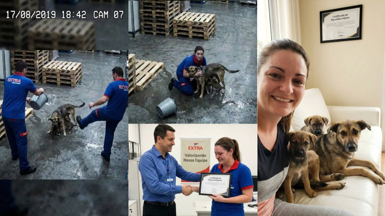 Ela Enfrentou Colegas para Salvar uma Cachorra Maltratada no Trabalho — O Final Vai Mexer com Você